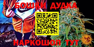 МДПВ Мариинск
