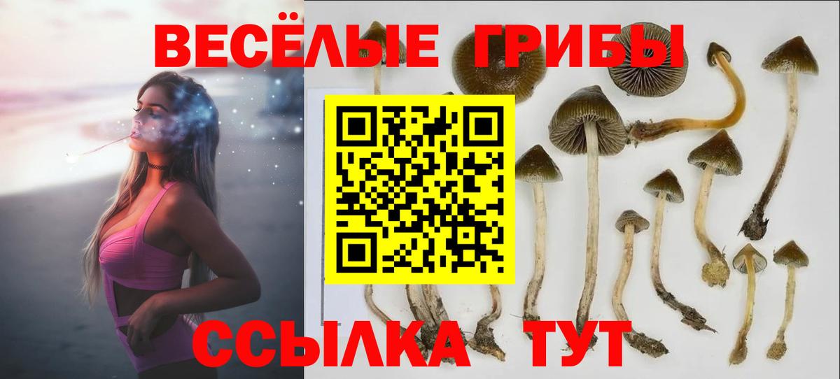 Галлюциногенные грибы Magic Shrooms Бузулук